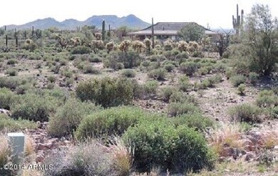 Lot 64 Southern view