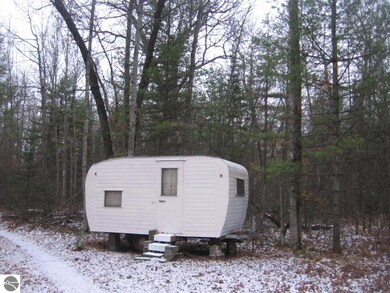 0 S Williams unit 1778653, Alger, MI 48610 - photo 3