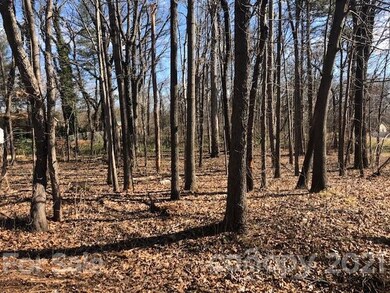 111 Florence Rd, Statesville, NC 28625 - photo 2