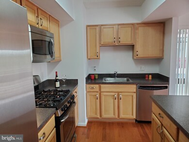 The Aurora Condominiums unit 416, Silver Spring, MD 20910 - photo 5