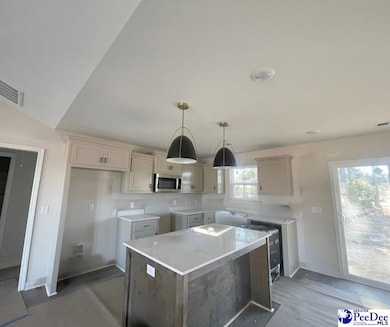 1507 Cattle Ridge Rd, Cheraw, SC 29520 - photo 6