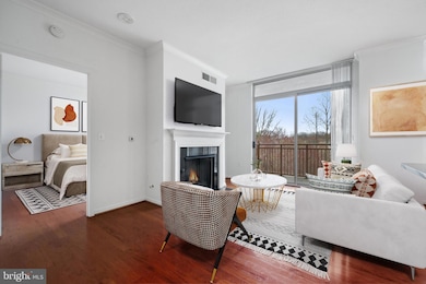 Elan East Market Condominiums unit 505, Fairfax, VA 22033 - photo 3