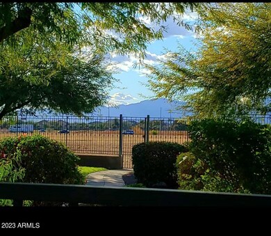 Front Porch views