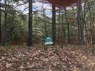 2-23 Champions, Franconia, NH 03580 - photo 2