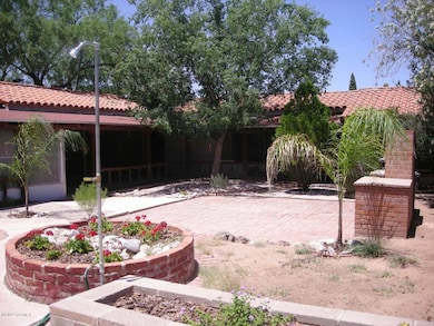 3rd Street backyard