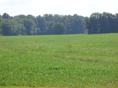DSC00503
