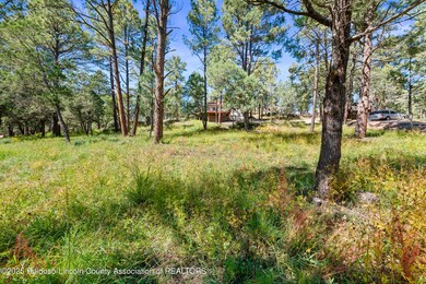 112 Course View Dr, Ruidoso, NM 88345 - photo 5