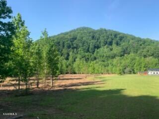 18653688640_18653664796_4_1642693519674