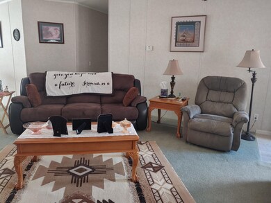 751 W White, Show Low, AZ 85901 - photo 4