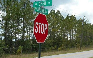 LOT 3 Open Ct, Lake City, FL 32055 - photo 2