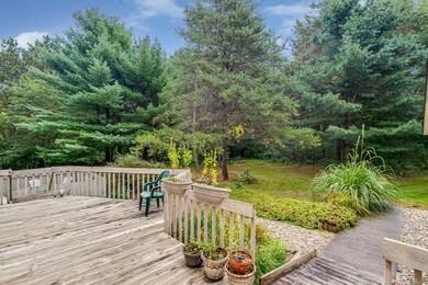 view from sunroom