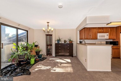 20217 Grazing Way, Montgomery Village, MD 20886 - photo 6