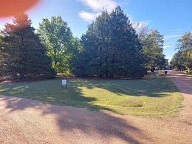 TBD Mano Ln, Sadler, TX 76264 - photo 3