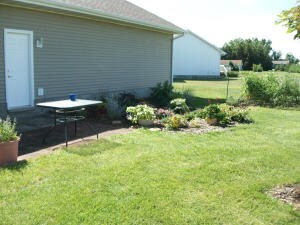 Back Yard (2)