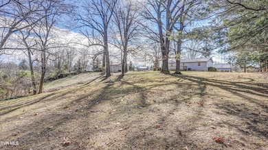 238 Washington College Station Rd, Limestone, TN 37681 - photo 6