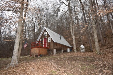 1025 Hurricane Creek Rd, Linden, TN 37096 - photo 2