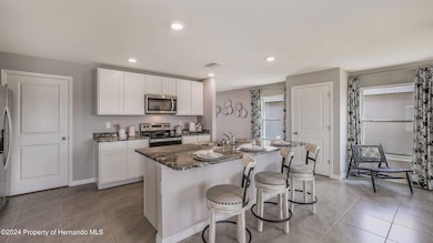 30830 Wild Juniper Ct, Brooksville, FL 34602 - photo 4