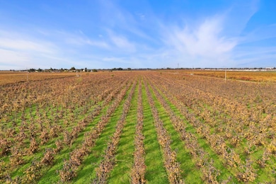 481 W Highway 12, Lodi, CA 95242 - photo 2