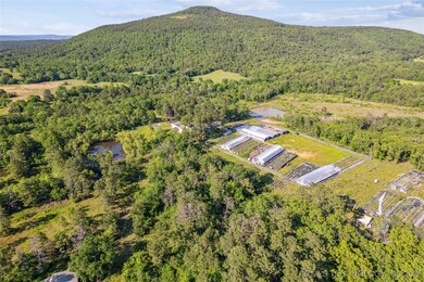 Aerial view of property and surrounding area featuring a heavily wooded area and a mountain backdrop