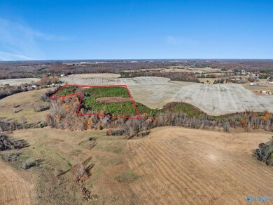 69 Danley Rd, Saint Joseph, TN 38481 - photo 3