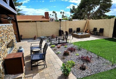 Backyard4
