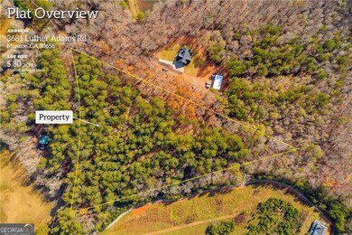3681 Luther Adams Rd NW, Monroe, GA 30656 - photo 6
