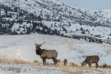 Less than 5 miles  from Livingston