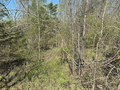 0 Canoe Branch Rd unit RTC3047448, Lebanon, TN 37087 - photo 5