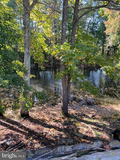 22461 Sara Ct, Great Mills, MD 20634 - photo 3