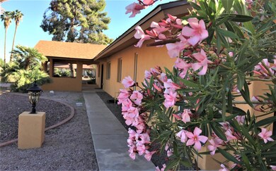 view from carport