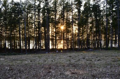 Land/lot