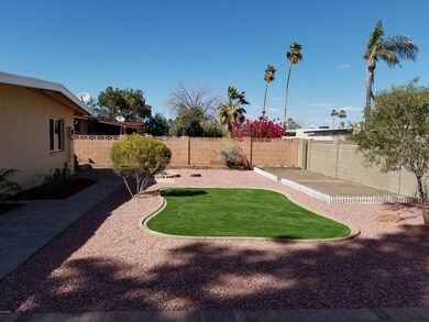 32nd backyard 2