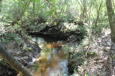 100-171 Cooks Corner Rd, Lucedale, MS 39452 - photo 2