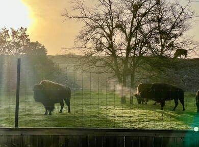 View of home's community with a view of rural / p