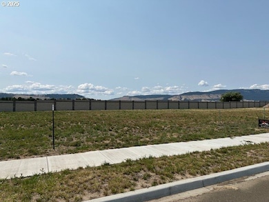 10808 Carrie Way, Island City, OR 97850 - photo 3