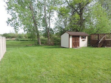 The back yard.