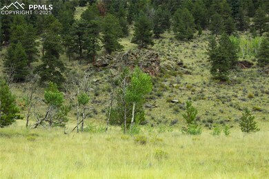 0 W Highway 24 Hwy unit 3329000, Lake George, CO 80827 - photo 6