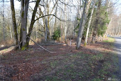 0 Lake Sixteen Rd, Mount Vernon, WA 98274 - photo 5