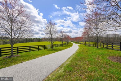 1730 Gardiner Rd, Cockeysville, MD 21030 - photo 7