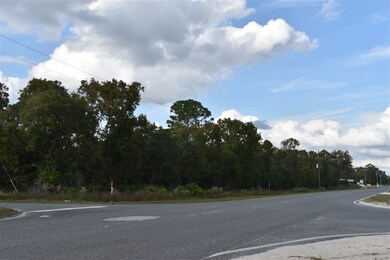 0 Sea Meadows Dr unit 312713, Perry, FL 32348 - photo 6