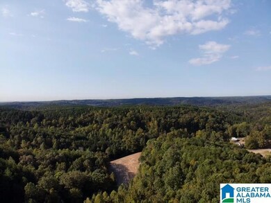 0000 Brooks Dr unit 1, Brookside, AL 35068 - photo 4