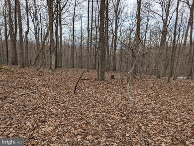 Lot 57 Speaks Ln, Harpers Ferry, WV 25425 - photo 4