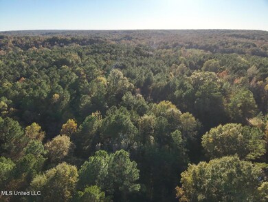 DJI_20251111154431_0003_V Large