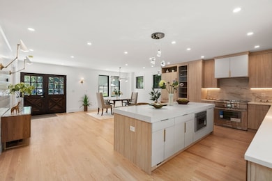 216 Aspinwall Ave, Brookline, MA 02446 - photo 7