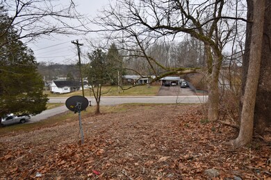 252 S Mill St, Linden, TN 37096 - photo 4