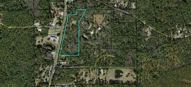 2801 Coastal Hwy, Crawfordville, FL 32327 - photo 3