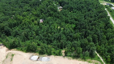 9999 Mountain View Rd, Williamsburg, KY 40769 - photo 4