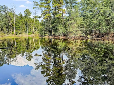 0000 County Road 4926, Fred, TX 77616 - photo 2