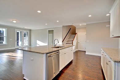 IMG_0433_IMG_0439-copy