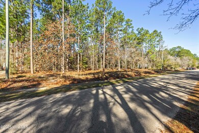 Cherokee Dr L-103, Boiling Spring Lakes